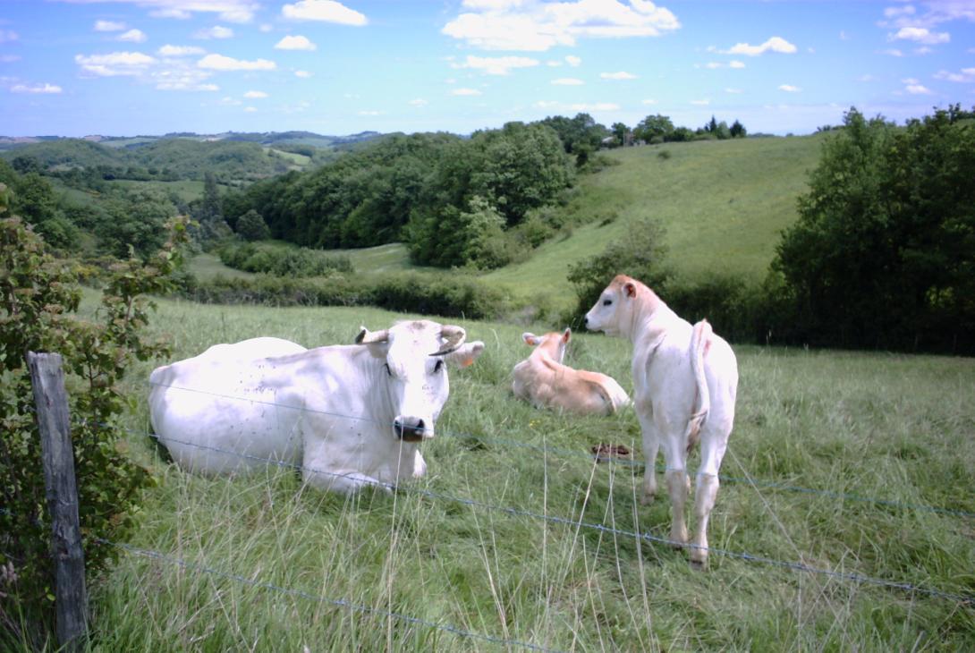 Décoration de fond pour  En apprendre plus sur Natura 2000